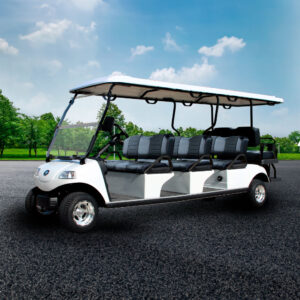 Carrito de Golf eléctrico Serie Carrier